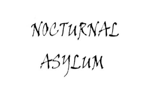NOCTURNAL ASYLUM logo