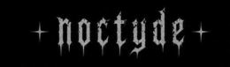NOCTYDE logo
