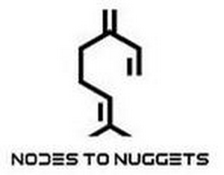 NODES TO NUGGETS