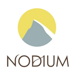 NODIUM logo