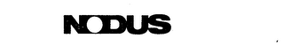 NODUS logo