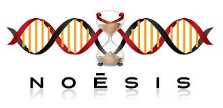 NOESIS logo