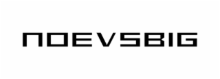 NOEVSBIG logo
