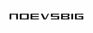 NOEVSBIG logo