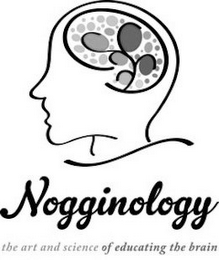 NOGGINOLOGY THE ART AND SCIENCE OF EDUCATING THE BRAIN logo