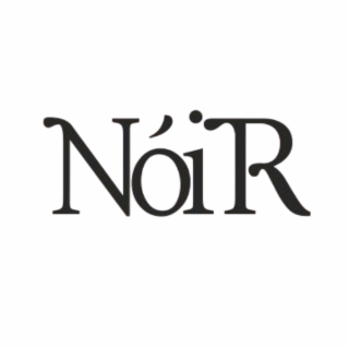 NOIR logo