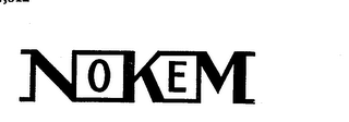 NOKEM logo