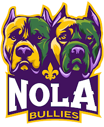 NOLA BULLIES logo