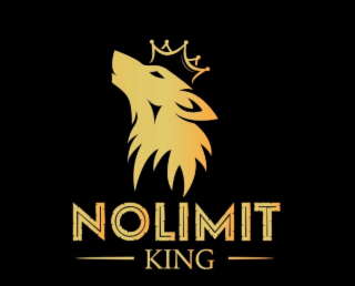 NOLIMITKING logo
