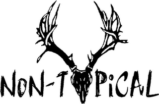 NON-TYPICAL logo