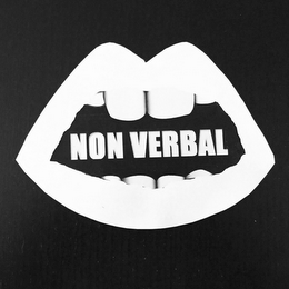NON VERBAL logo