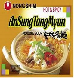 NONG SHIM HOT & SPICY ANSUNGTANGMYUN NOODLE SOUP logo