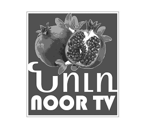 NOOR TV logo
