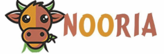 NOORIA logo