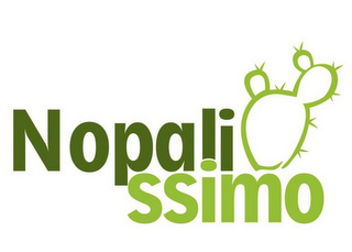 NOPALISSIMO logo