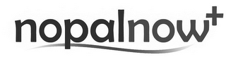 NOPALNOW logo