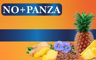 NO+PANZA logo