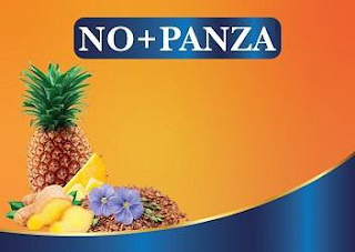 NO+PANZA logo