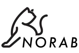 NORAB logo