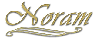 NORAM logo