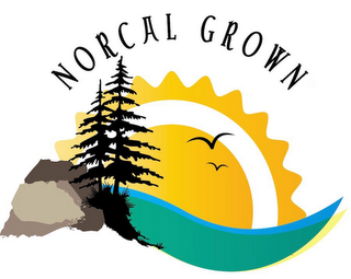 NORCAL GROWN logo
