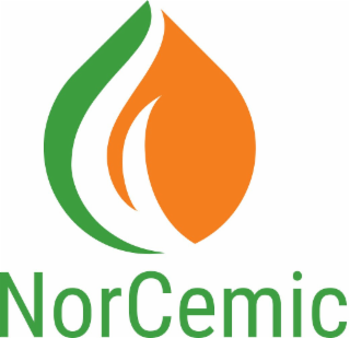 NORCEMIC logo