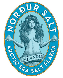 NORDUR SALT ARCTIC SEA SALT FLAKES ISLANDIA logo