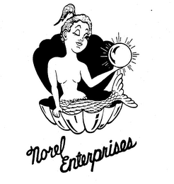 NOREL ENTERPRISES logo