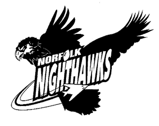 NORFOLK NIGHTHAWKS logo