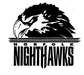 NORFOLK NIGHTHAWKS logo