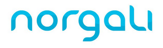 NORGALI logo