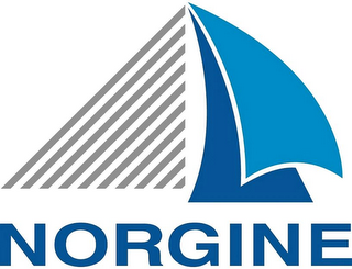 NORGINE logo