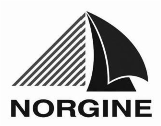 NORGINE logo