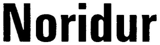 NORIDUR logo