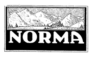 NORMA logo