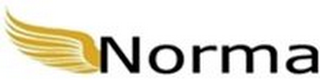 NORMA logo