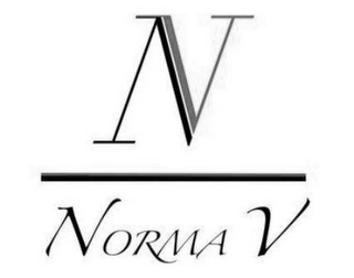 NORMA V N V logo