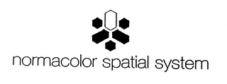 NORMACOLOR SPATIAL SYSTEM logo