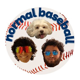 NORMAL BASEBALL logo