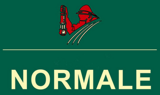 NORMALE logo