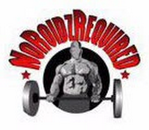 NOROIDZREQUIRED logo