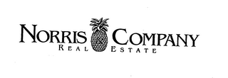 NORRIS & COMPANY REAL ESTATE logo