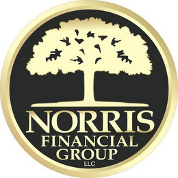 NORRIS FINANCIAL GROUP LLC logo