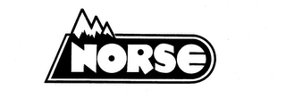 NORSE logo