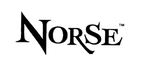 NORSE logo