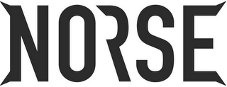 NORSE logo