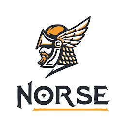 NORSE logo