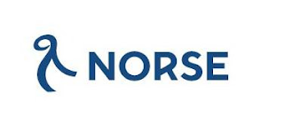 NORSE logo