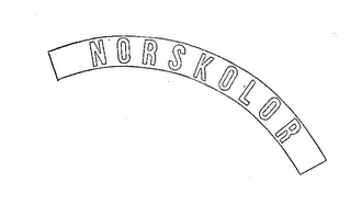 NORSKOLOR logo