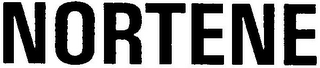 NORTENE logo